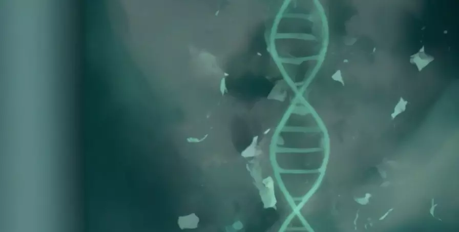 Image of DNA information